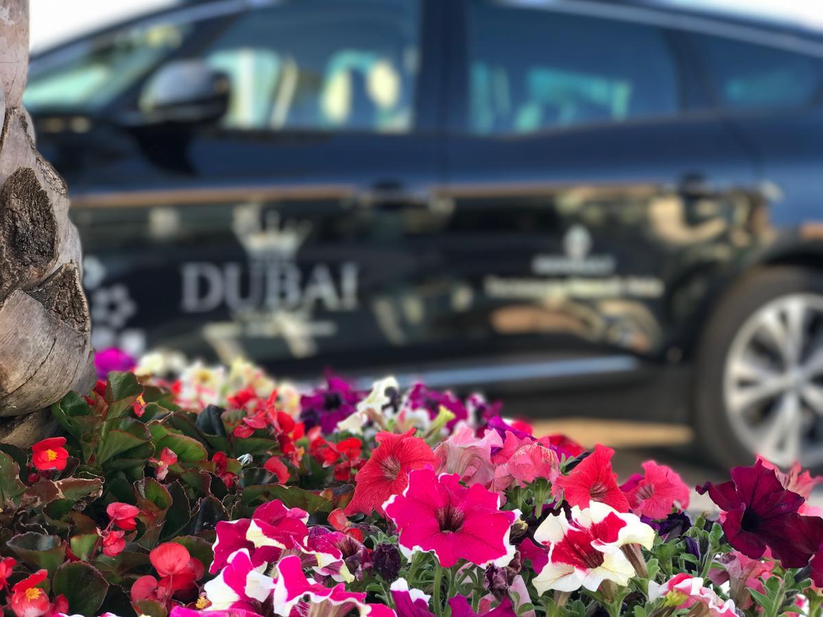 DubaiVillage Camposano Esterno foto